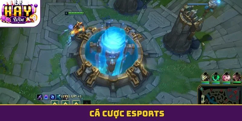 Cá cược esports