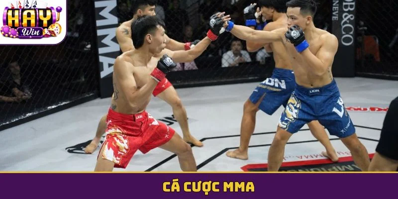 Cá cược MMA