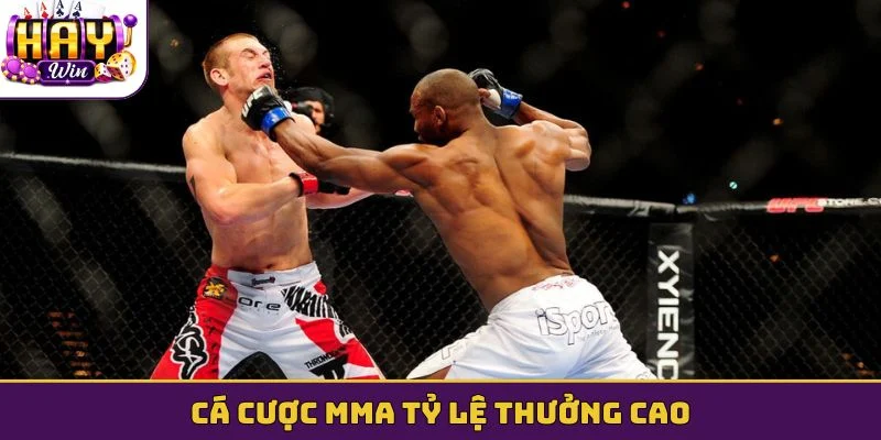 Cá cược MMA tỷ lệ thưởng cao