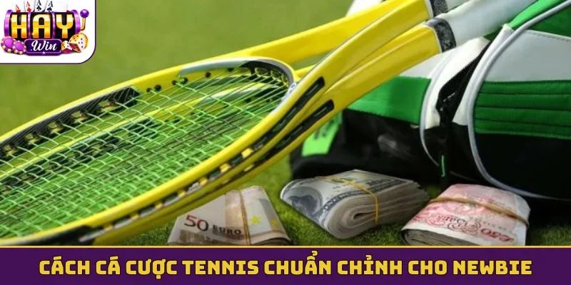 Cách cá cược tennis chuẩn chỉnh cho newbie