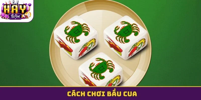 cách chơi Bầu cua