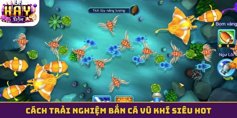 Cách trải nghiệm bắn cá vũ khí siêu hot
